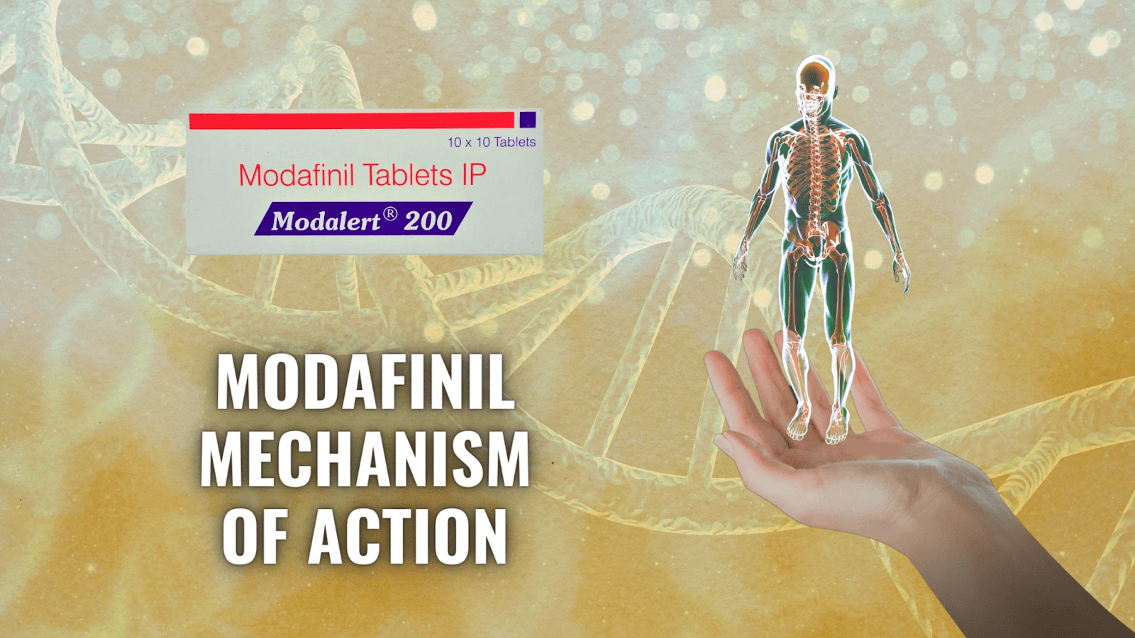 Modafinil Mechanism Of Action: Its Effects On The Brain