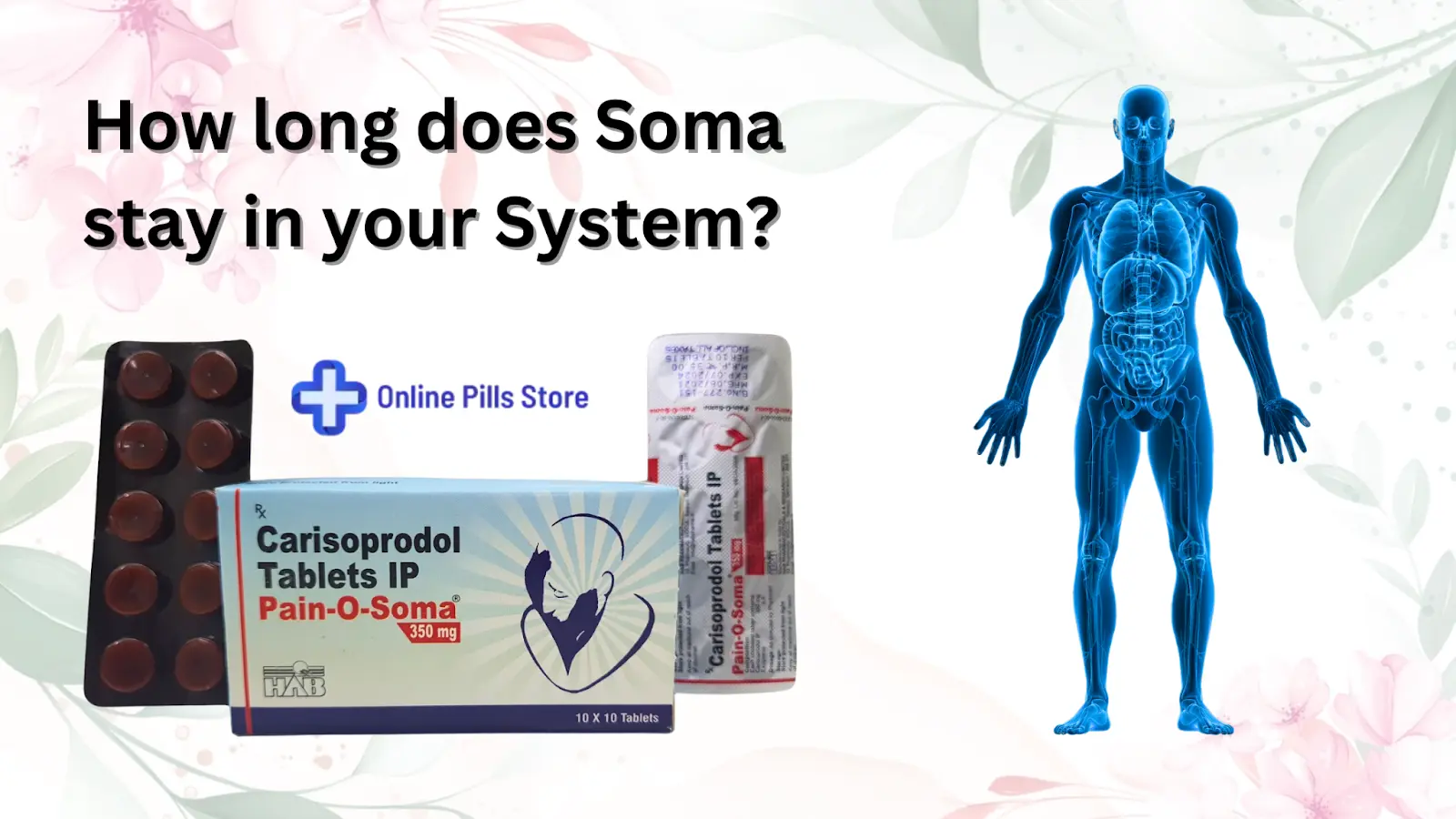 How long does Soma stay in your System?