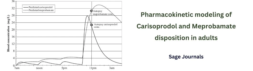 pharmacokinetic-of-carisoprodol-and-meprobamate