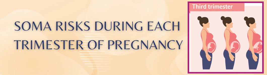 soma-risks-during-each-trimester-of-pregnancy