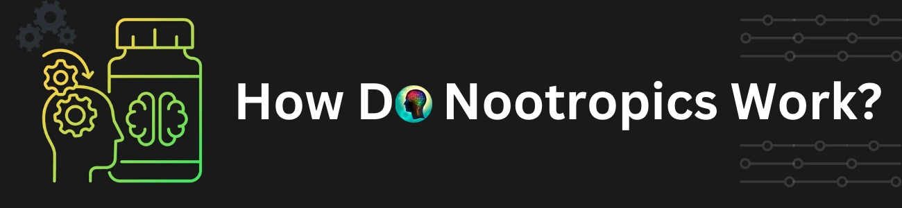 how-do-nootropics-work
