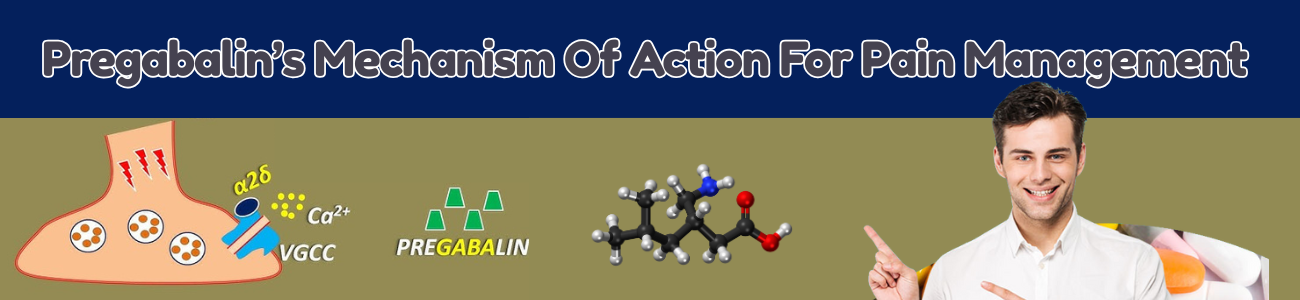 Pregabalin’s Mechanism For Pain Management