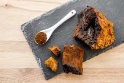 Chaga mushrooms