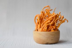 Cordyceps