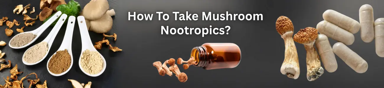 How to Take Mushroom Nootropics?