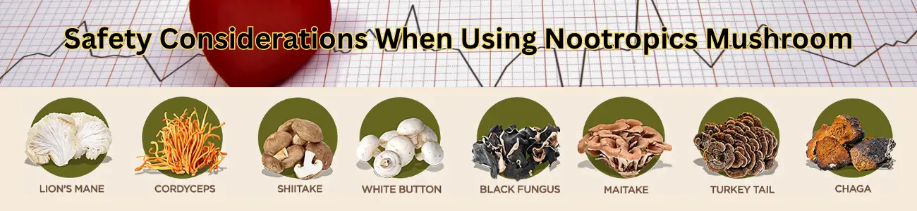 Safety Considerations When Using Nootropics Mushroom 