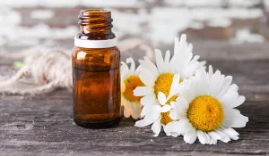Chamomile oil