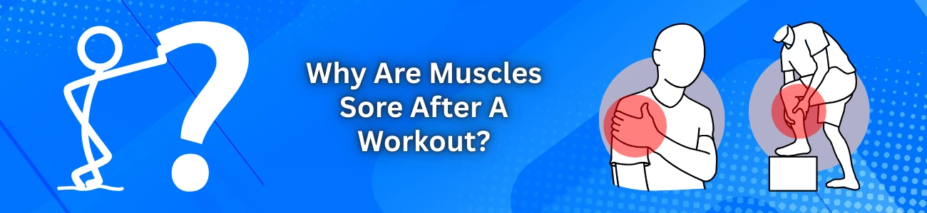 Why Are Muscles Sore After A Workout