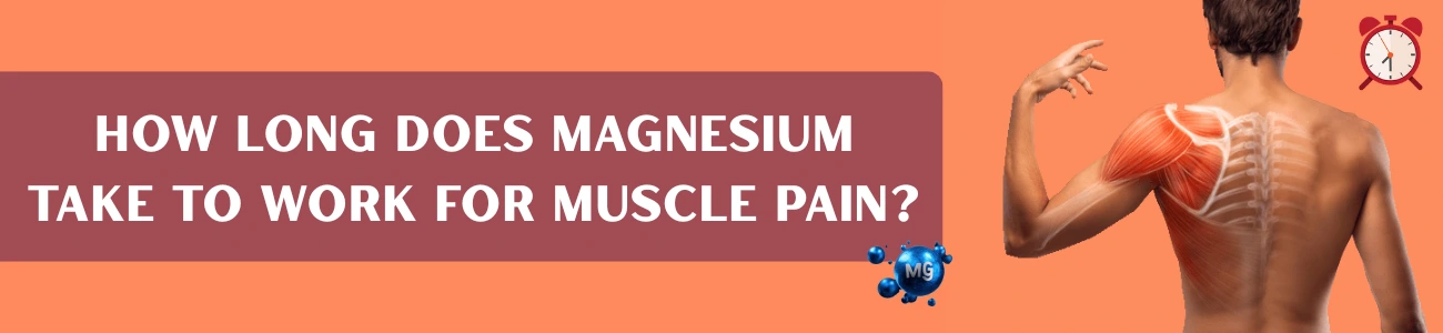 How-Long-Does-Magnesium-Take-to-Work-for-Muscle-Pain